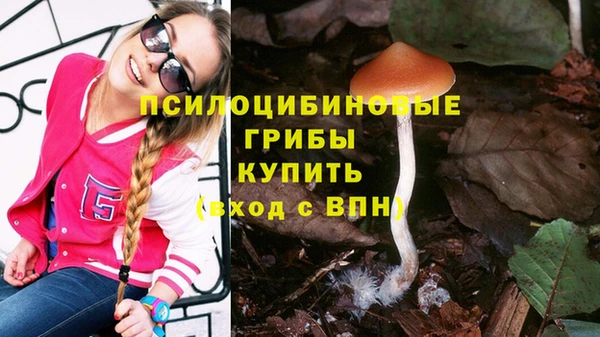 прущая мука Балахна